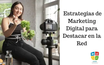 ¡Haz que tu Negocio Brille en Internet! Estrategias de Marketing Digital para Destacar en la Red