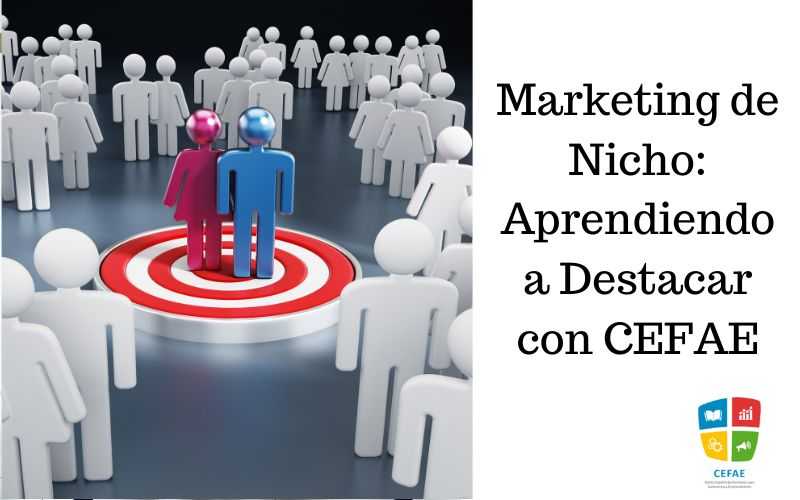 Marketing de Nicho: Aprendiendo a Destacar con CEFAE