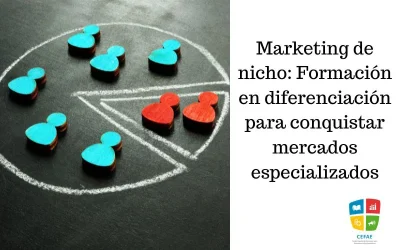 Marketing de nicho: Formación en diferenciación para conquistar mercados especializados
