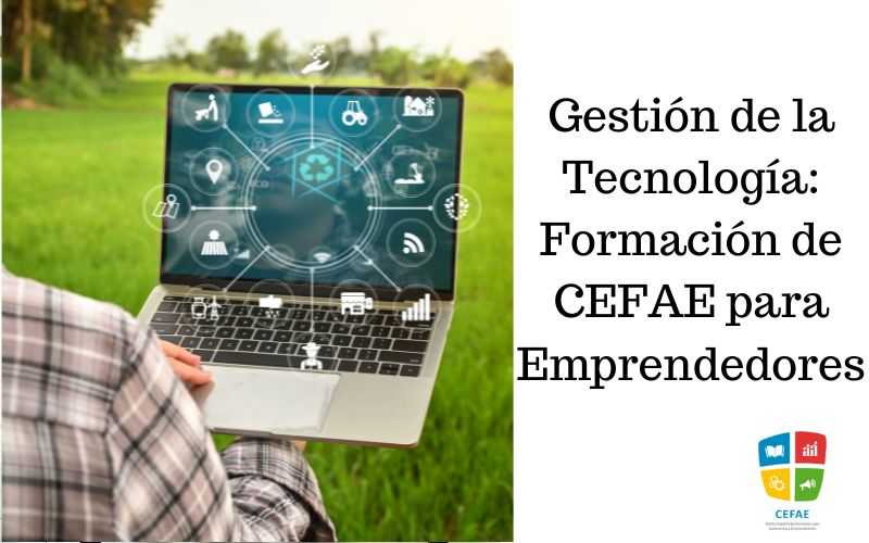 Gestión de la Tecnología: Formación de CEFAE para Emprendedores