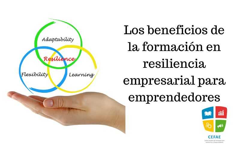 x 3 (13) resiliencia empresarial